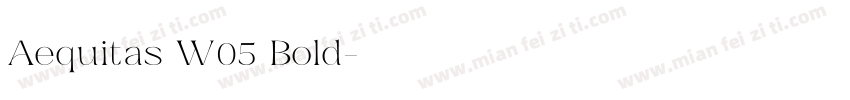 Aequitas W05 Bold字体转换